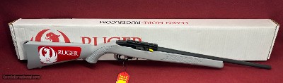Ruger 10-22 New in Box Gray **No Credit Card Fees**