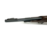 *Rare* Reminton Nylon 66 GALLERY SPECIAL .22 Short - 25 of 25