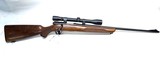 218 bee Winchester model 43 Deluxe