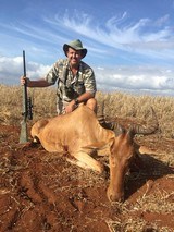 Ruger 375 M77 Hawkeye Left Hand Bolt 375 Ruger - 3 of 11