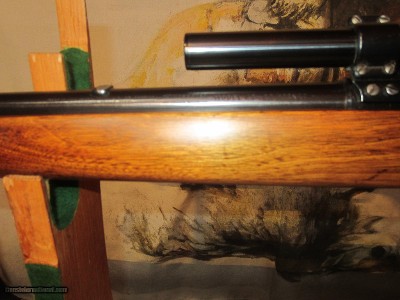 WINCHESTER MODEL 43 22 HORNET - Image 7 of 9