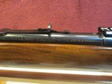 WINCHESTER MODEL 43 218 BEE STANDARD MODEL SERIAL 33113A MFGDATE 1953 - 11 of 14