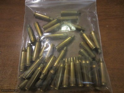 250 SAVAGE 40
UNPRIMED BRASS CASES