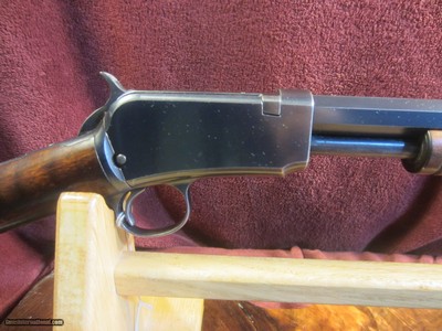 WINCHESTER MODEL 189022 SHORT 24 