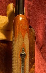 Charles Daley Trap 12GA Superior Grade - 20 of 24