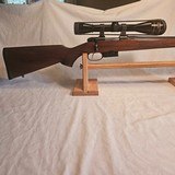 CZ 527 American 527 22 hornet caliber