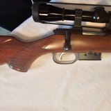 CZ 527 American 527 22 hornet caliber - 15 of 15