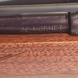 CZ 527 American 527 22 hornet caliber - 13 of 15