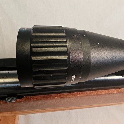 DianaModel 48 - Image 15 of 22