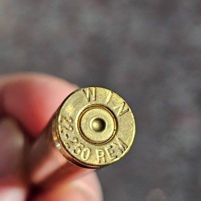 Winchester 22-250 BRASS 180 count - Image 3 of 3
