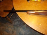ruger m77 22-250 - 6 of 6