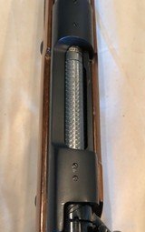 Winchester Model 70 Safari Express .458 - 17 of 18