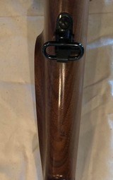 Winchester Model 70 Safari Express .458 - 14 of 18