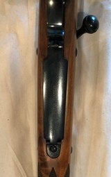 Winchester Model 70 Safari Express .458 - 18 of 18