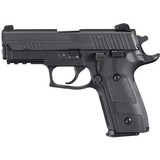 SIG SAUER E29 - 1 of 1