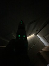 SIG SAUER P238 RAINBOW - 6 of 6