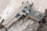 SIG SAUER P229 EQUINOX - 1 of 1