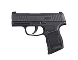 SIG SAUER P365 - 1 of 1