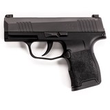 SIG SAUER P365 - 1 of 3