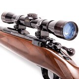 RUGER M77 - 4 of 4