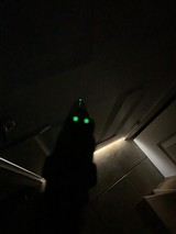 COLT 1911 COMBAT ELITE GOV'T 45 ACP - 7 of 7