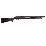 WINCHESTER SXP - 2 of 3