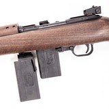 CHIAPPA M1-22 - 3 of 4