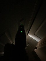 TAURUS PT 145 PRO MILLENNIUM NIGHT SIGHT - 6 of 7