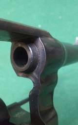 COLT NEW SERVICE - 3 of 5