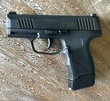 SIG SAUER P365 9mm - 3 of 3