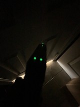 GLOCK 19X G19X GEN 5 NIGHT SIGHTS CUSTOM LETTERS - 6 of 7