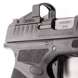 SPRINGFIELD ARMORY HELLCAT - 3 of 3