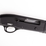 TRISTAR RAPTOR - 3 of 3