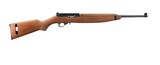 RUGER 10/22 CARBINE - 1 of 1