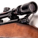 WINCHESTER MODEL 70 RANGER - 5 of 5