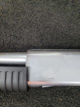 SILVER EAGLE xp15 - 3 of 7