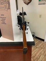 CHARLES DALY: 1976-2010 Auto-Pointer - 6 of 7