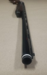 P. BERETTA AL391 URIKA - 5 of 5