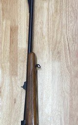 WINCHESTER 70 - 1 of 2