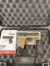 SIG SAUER P365 - 1 of 3