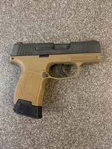 SIG SAUER P365 - 3 of 3