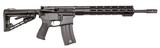 WILSON COMBAT PROTECTOR CARBINE - 1 of 1