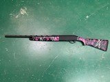 LEGACY SPORTS Pointer - 1 of 6