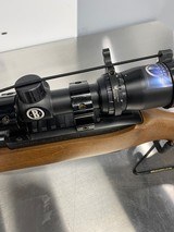 RUGER 10/22 - 6 of 7