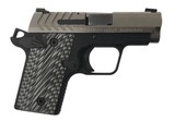 SPRINGFIELD ARMORY 911 - PG9109S - 2 of 7