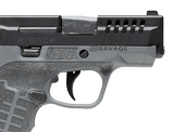 SAVAGE ARMS STANCE GRAY MANUAL SAFETY - 6 of 7