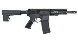 APF AR-15 TAKEDOWN PISTOL - 1 of 1