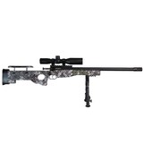 KEYSTONE Crickett - 1 of 1