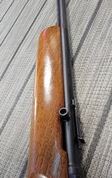 WINCHESTER 77 - 6 of 7
