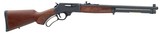 HENRY 45-70 LEVER - 1 of 1